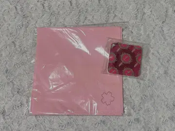 시쿠포니 LAN 손수건 거울