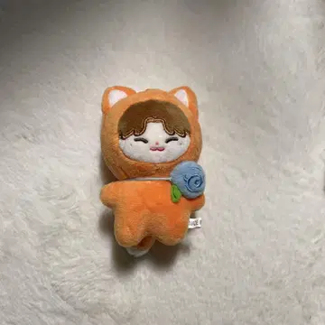 ZB1 마슈 봉제 인형 마스터 상품