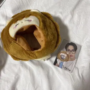 사자 봉제 인형 포토 카드 포함