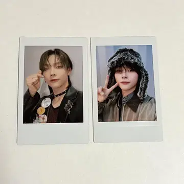 니콜라스 파우프리 폴라로이드 2장 세트