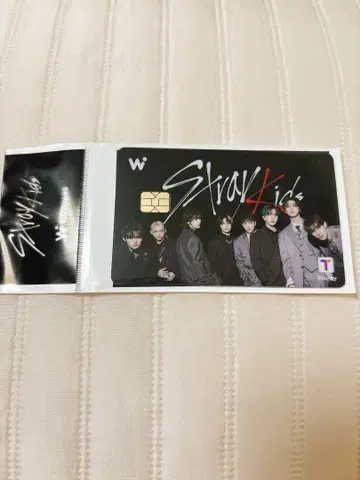 wowpass 스트레이 키즈 올