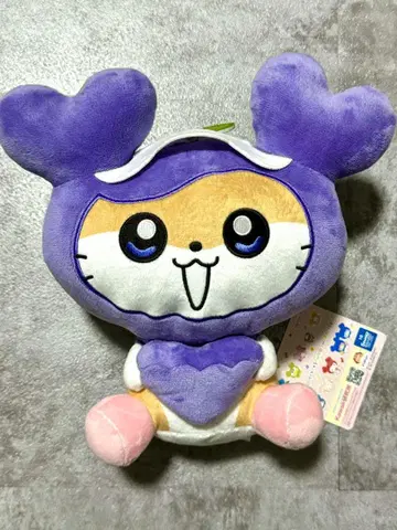2 사나 포켓 BIG 봉제 인형 TWICE LOVERYS GiGO 한정판