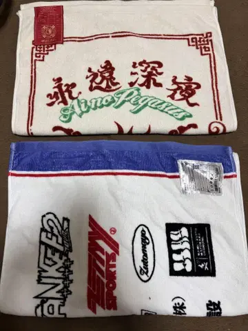 계속 한밤중이면 좋을 텐데 투어 타월과 덤