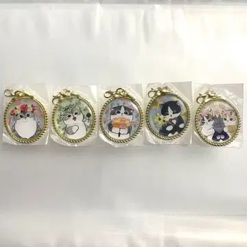 [ 전체 5종 세트 ] mofusand 모프 샌드 메탈 프레임 참