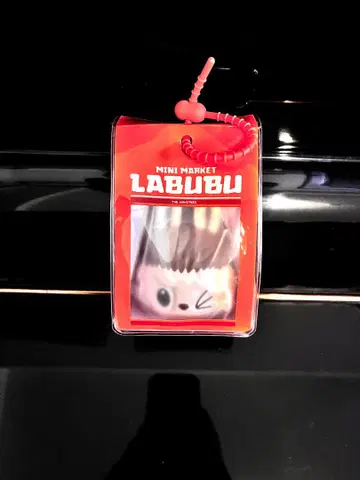 POP MART LABUBU 스퀴즈 1점