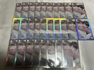 하토야 타마 오로라 카드