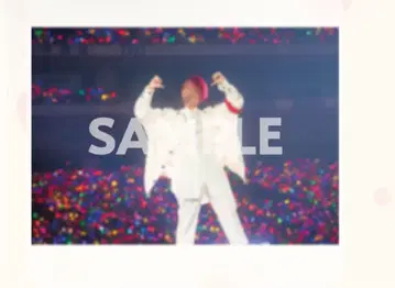 리인 클리어 포스터 스티커 세트