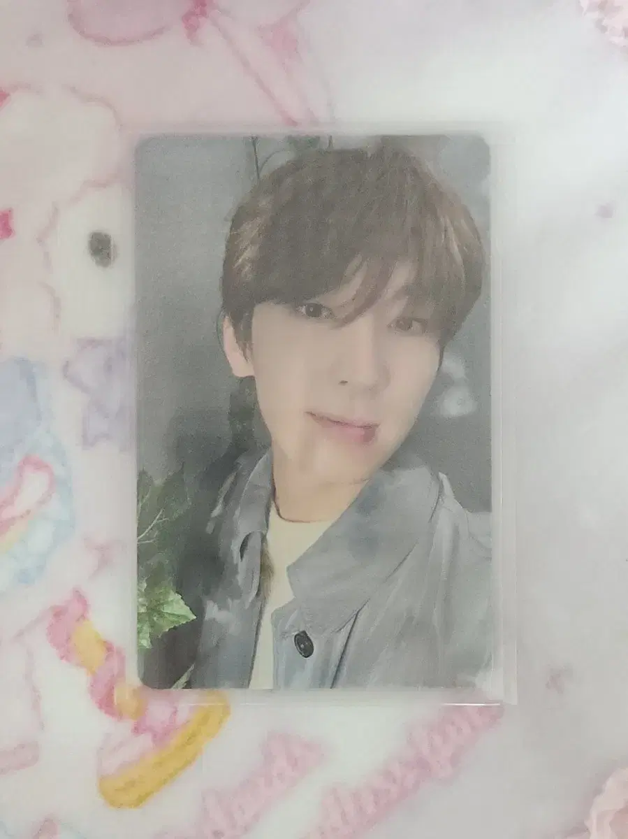 Seventeen Wonwoo expiration date Tower Records pre-order benefit