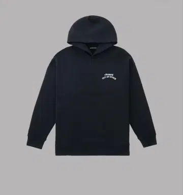 ALWAYS OUT OF STOCK BASICLOGOTHICKHOODIE