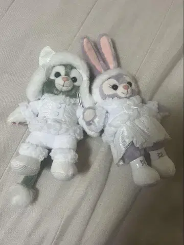 화이트 윈터 타임 원더스 젤라토니 스텔라 루이 바