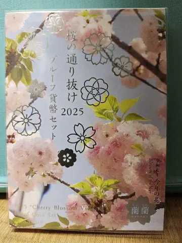 벚꽃 통과 2025 프로오프 세트