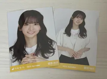 노기자카46 스가와라 사츠키 브로마이드 썸머 자켓 요리 츄