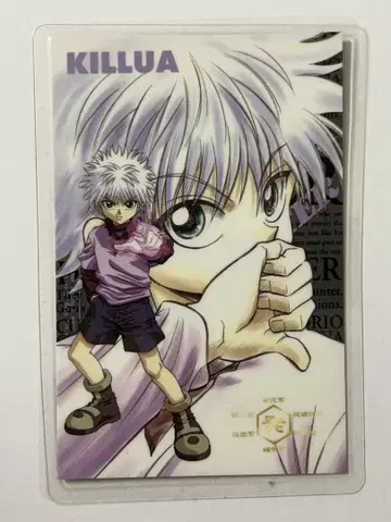 HUNTER x HUNTER 라미네이티드 카드 키루아 능력 측정 시트