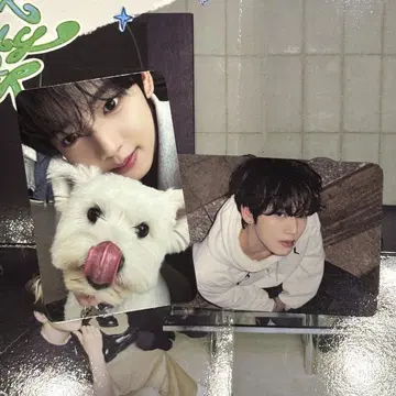 ZB1 한유진 레오 트레이딩 카드