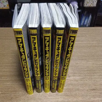 아마추어 비질란테 전권 세트