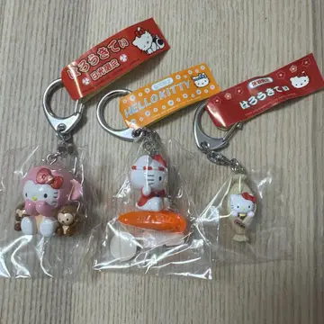 지역 한정 키티 도치기 닛코 후쿠오카 이바라키 키링 세트 새상품