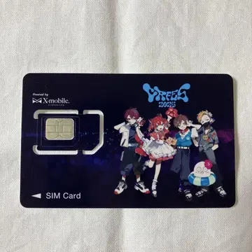 CR 페스티벌 2025 MOBILE SIM 카드