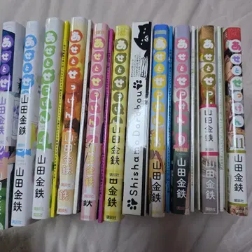 아세토셋켄 전권 세트