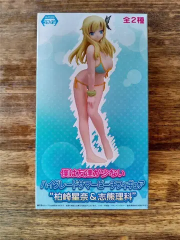 카시와자키 세이나 하이 그레이드 썸머 비치 피규어