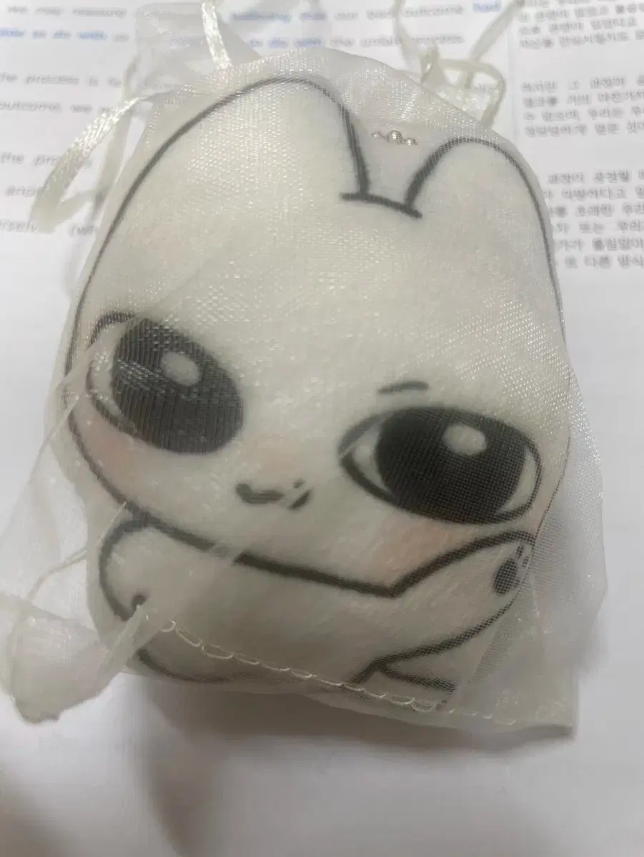 Boynextdoor Sungho unofficial goods cushion doll sell