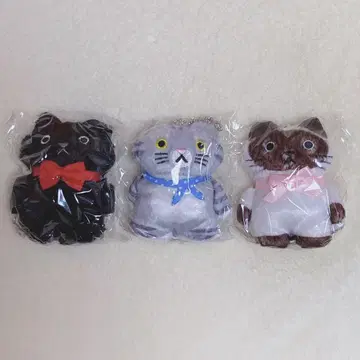 CACAOCAT plush toy 카카오캣 복슬복슬 봉제 인형 3개