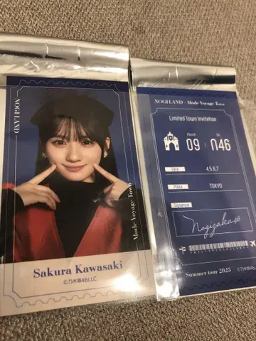 NOGI 카와사키 벚꽃 B상 티켓풍 스티커 한여름 전국 투어