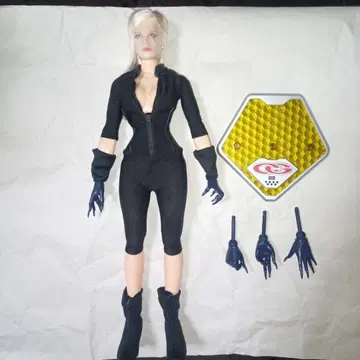 1/6 디오 DIO 여성 소체 피규어 커스텀 여자 살해자 암살자풍