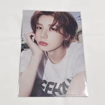 BOYNEXTDOOR 이한 엽서 ViVi 혜택