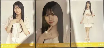 카와사키 벚꽃 썸머 자켓 컴프