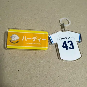 사이타마 세이부 라이온즈 명찰 메지루시 참 하네다 신노스케