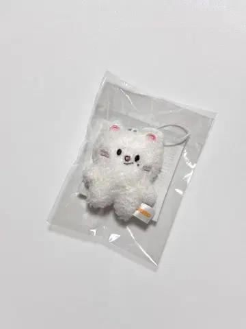 스키즈 지니레트 팬미팅 마이크로 현진