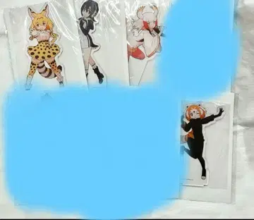 라운드원 케모노프렌즈