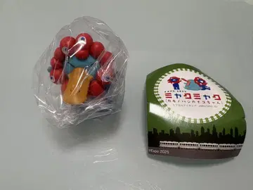 미야쿠미야쿠 이코짱 시크릿