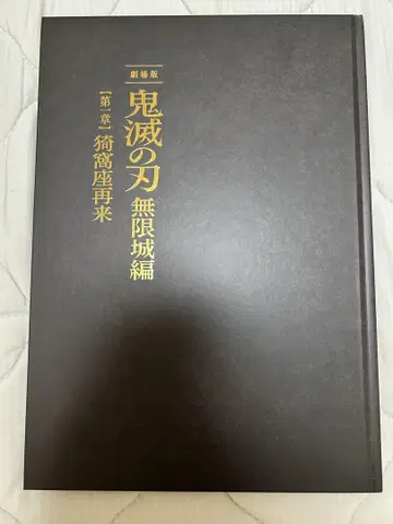 극장판 귀멸의 칼날 무한열차편 제1장 아카자 재래 최초 한정판 팜플렛