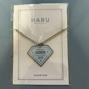 SEVENTEEN 버논 HARU 키링