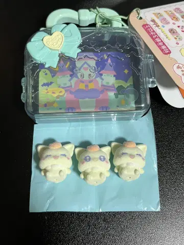 푸치큐아 코코 하우스 컬렉션