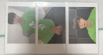 아즈 팬더 드래곤 파라곤 쫀득쫀득 하피카 굿즈