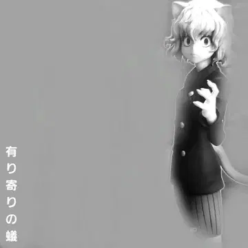 복권 HUNTER x HUNTER 키메라 앤트 편 2 네페르피토 단기