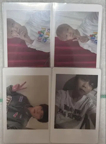 아즈 팬더드래곤 파라곤 모찌모찌 하피카 굿즈