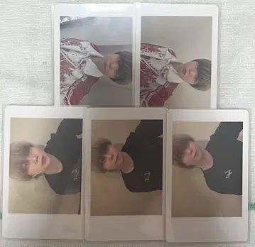 아즈 팬더드래곤 파라곤 모찌모찌 하피카 굿즈