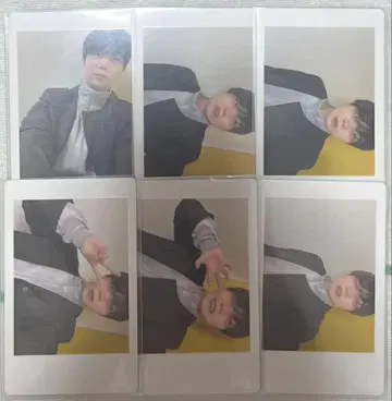 아즈 팬더드래곤 파라곤 모찌모찌 하피카 굿즈