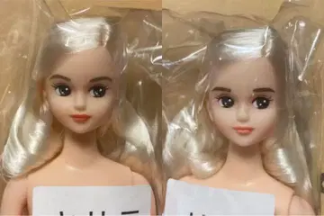 리카짱 캐슬 27BD 오타노시미 인형 쌍둥이 사양 키사라 & 리에