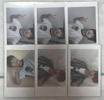 아즈 팬더드래곤 파라곤 모찌모찌 하피카 굿즈