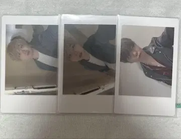 아즈 팬더드래곤 파라곤 모찌모찌 하피카 굿즈