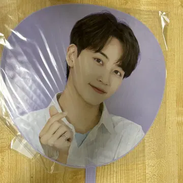 SEVENTEEN 세부치 정한 부채