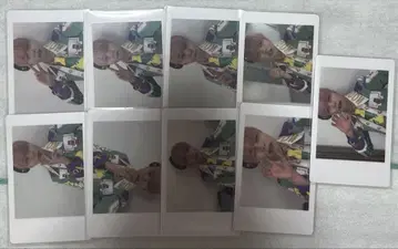아즈 팬더드래곤 파라곤 모찌모찌 하피카 굿즈