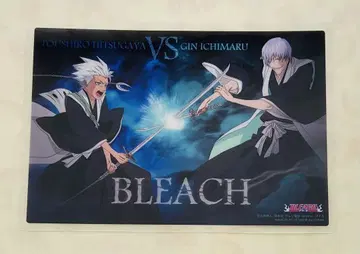 BLEACH 클리어 소울 플레이트 이치마루 긴 히츠가야 토시로
