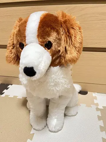 코이케르혼디에의 오데코짱 앉아있음 약 50cm