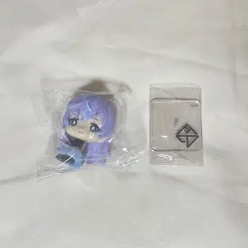 호시미치 쇼 니지콧토