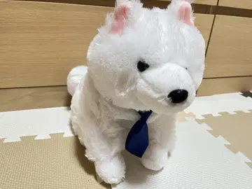 흐물흐물 사모예드 군 봉제 인형 넥타이 JB